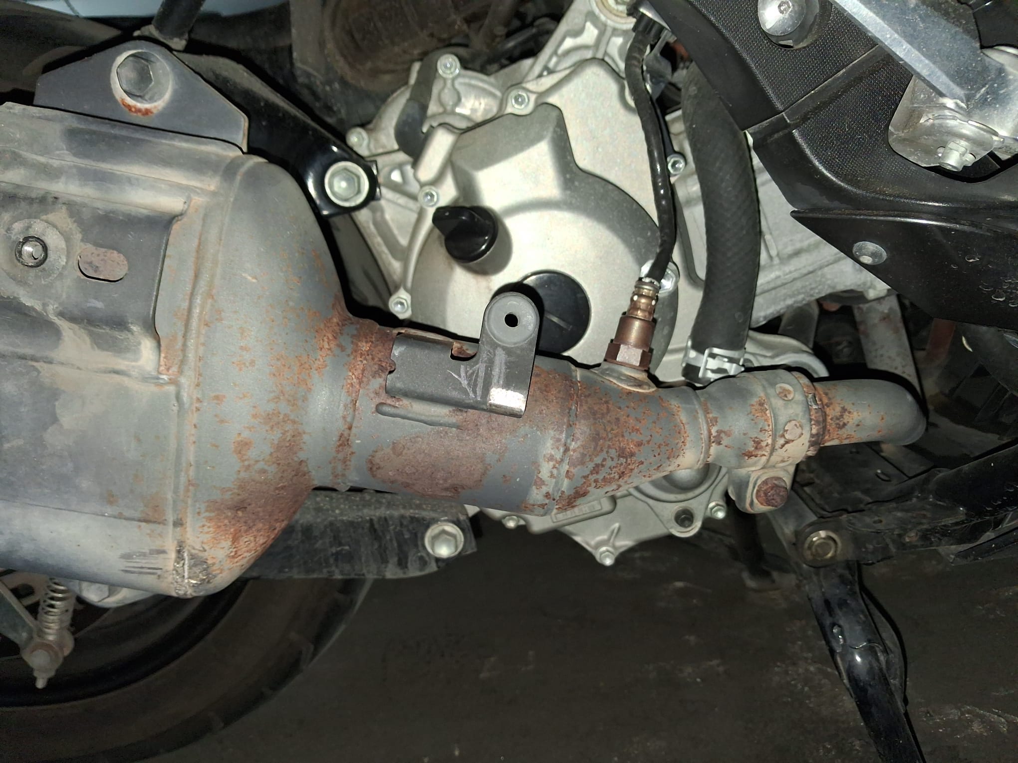 Imagen del post: RUST ON EXHAUST PIPE AND COLLECTOR